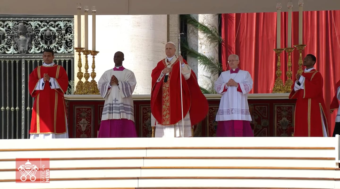 ‘Lay down your weapons’: Pope Leo XIV proclaims Christ as King of Peace on Palm Sunday