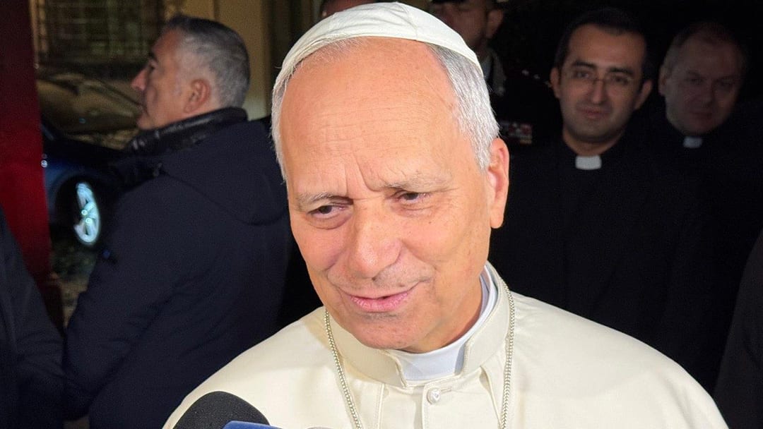 Peace cannot be built through Weapons but through Dialogue says Pope Leo XIV 